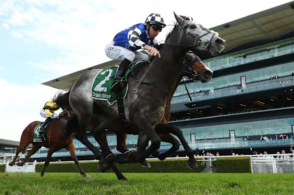 Don Diego De Vega winning at Randwick in 2024.