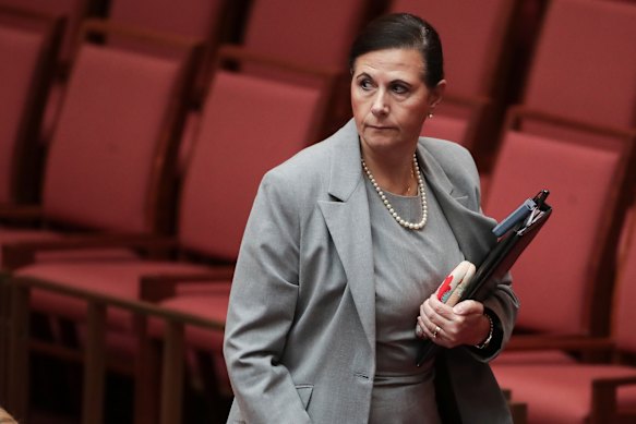 Senator Concetta Fierravanti-Wells says she has been the victim of factional warfare, like Kimberley Kitching.