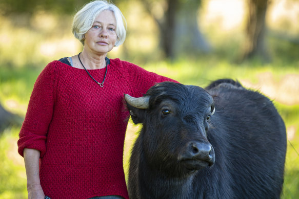 Myall Lakes farmer Elena Swegen with one of her water buffalo.