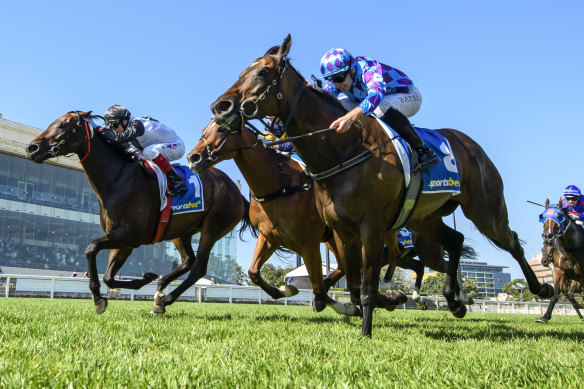 Craig Williams rides Mr Brightside (white silks) to victory in the CF Orr Stakes at Caulfield.