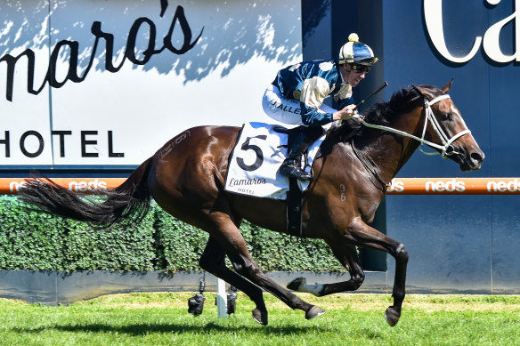 Sierra Sue won the group 1 Futurity Stakes in 2022 for Busuttin and Young.