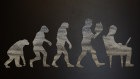 Posture evolution