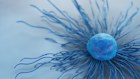 A cervical cancer cell. 