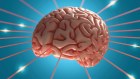 For brain health you need to both act now, and plan ahead.