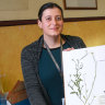 Floral ‘time capsules’: Herbarium logs its elusive millionth specimen