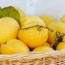 When life gives you lemons, share them with the neighbours.