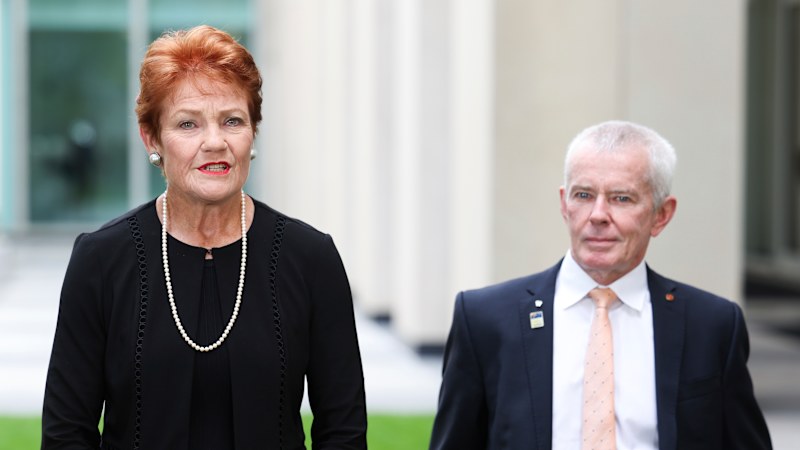 One Nation's 5pc mortgage plan may cost hundreds of billions