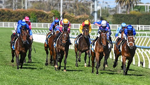 Feroce (second from the right) ran second in the Caulfield Guineas.