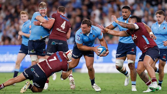 Dan Botha is in charge of the Waratahs.