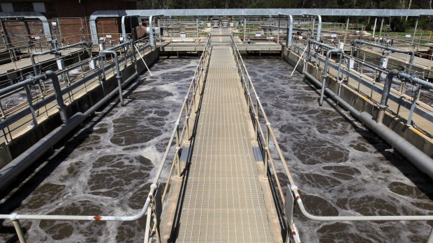 Queensland has recorded a spate of positive wastewater tests in recent days. (File image)