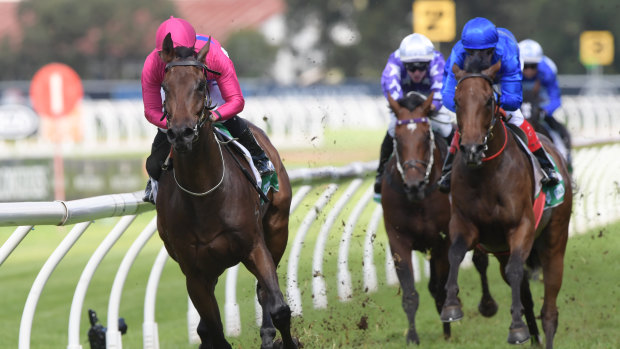 Careering away: Angel Of Truth races away with  the Tulloch Stakes at Rosehill last week.