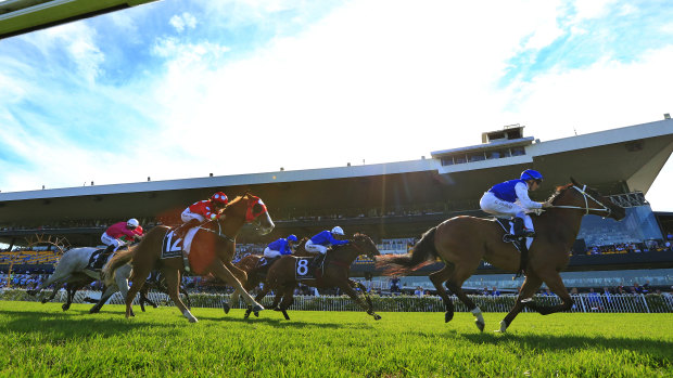Racing returns to Rosehill on Wednesday with a seven-race card.