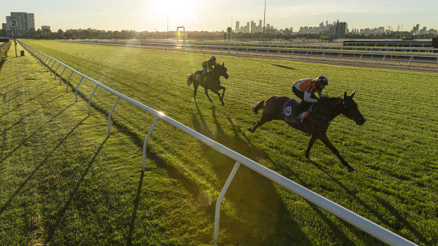 Will the lure of Sydney riches force  spring carnival hopefuls to head north?