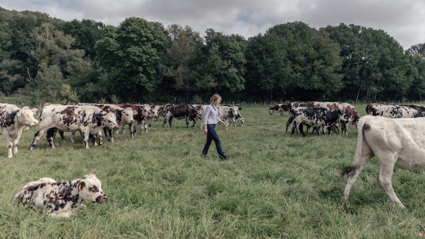 At Hectar, a farm near Coignires, in the Yvelines region of France that serves as a training ground, a veterinarian, Julie Renoux, cares for the cows.