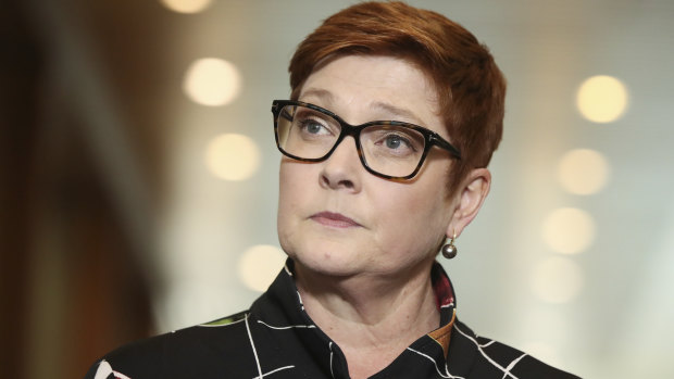 Foreign Affairs Minister Marise Payne would have the power to cancel contracts under the laws if they contradict Australia's national interest.