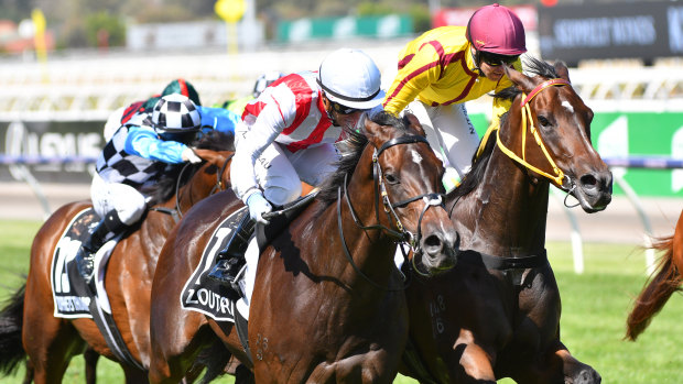 Zoutori, with Luke Currie on board, defeats Indian Pacific in the Newmarket Handicap at Headquarters on Saturday. 