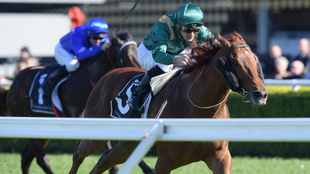 Triple treat: Corey Brown gets Heluka home at Randwick on Saturday, the first of three winners on the card.