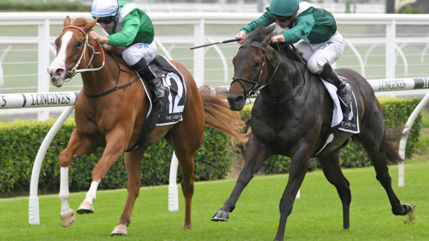 Opportunities:  All Too Royal (right) has enjoyed a stint racing in the Sydney direction.