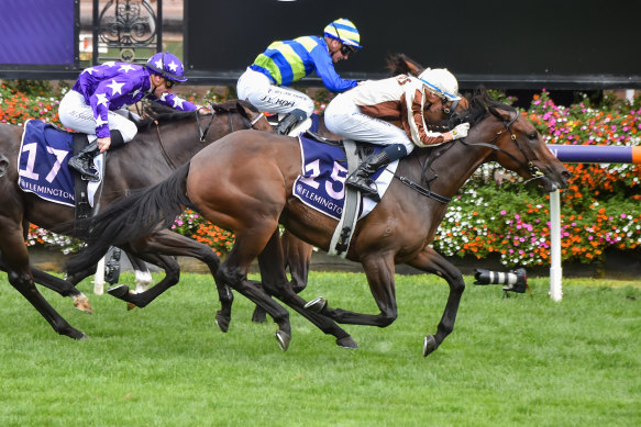 Legarto charges down the outside to win the Australian Guineas in March.