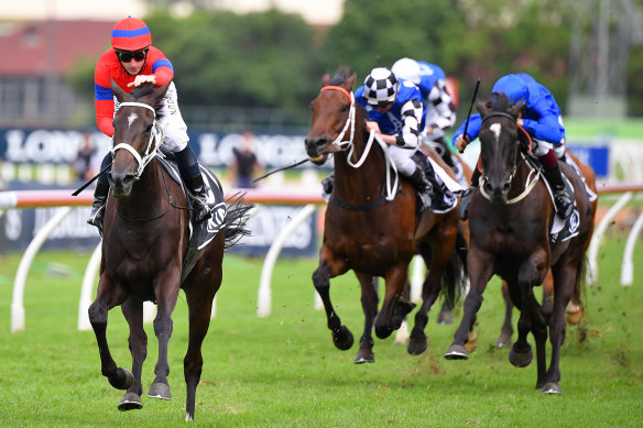 Verry Elleegant is the pick of Chris Waller's five hopes in the Queen Elizabeth Stakes.
