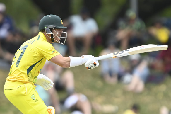 David Warner starred for the Australians against Zimbabwe on Sunday.