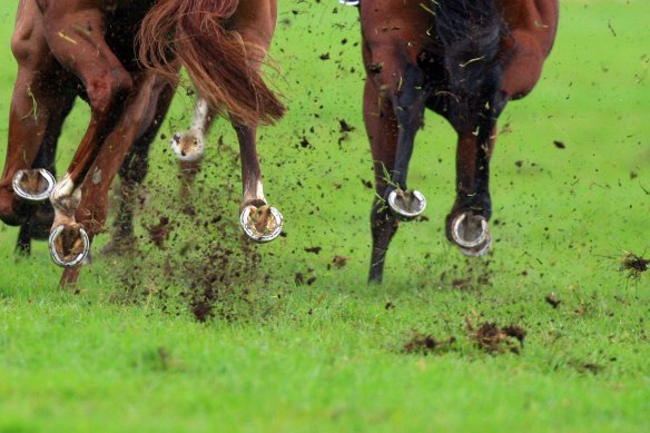 The track will be heavy and the action fierce at Wyong on Thursday.