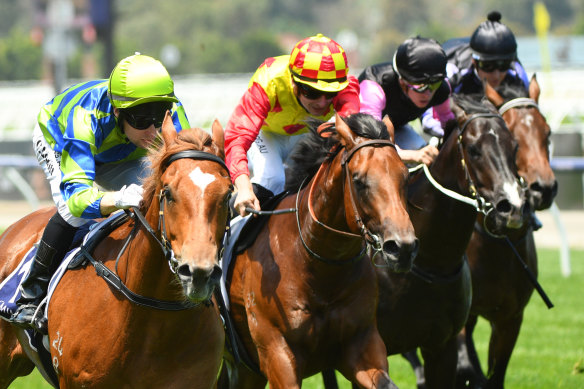 Chameleon Choice, in the red and yellow colours,  is one of four horses with race experience in an intriguing  two-year-old feature at Randwick.