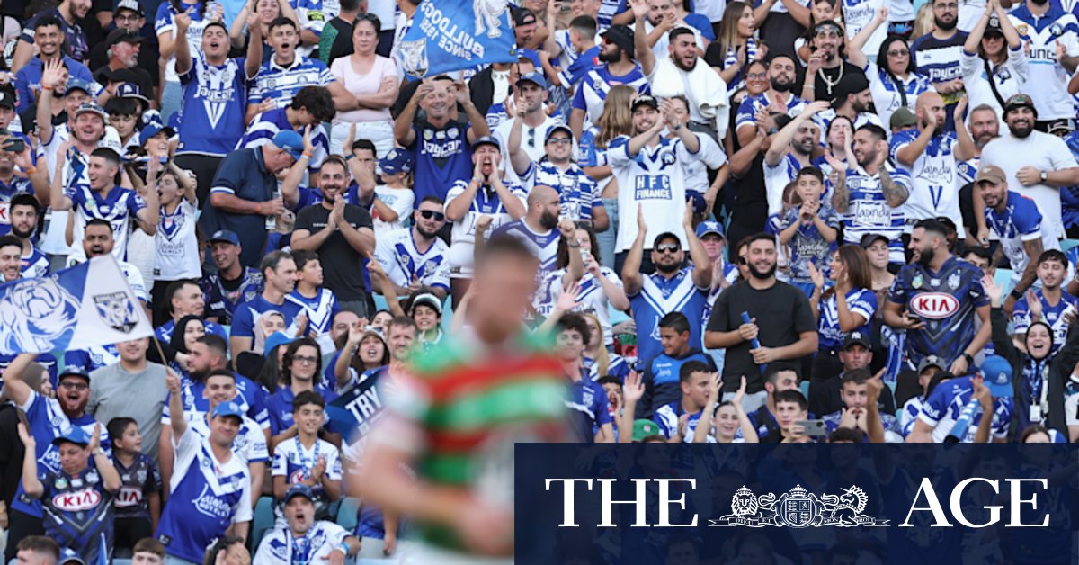 Top Dogs: Canterbury now the best-supported club in Sydney … and they want to be biggest in NRL