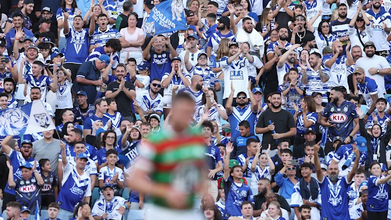 Top Dogs: Canterbury now the best-supported club in Sydney … and they want to be biggest in NRL