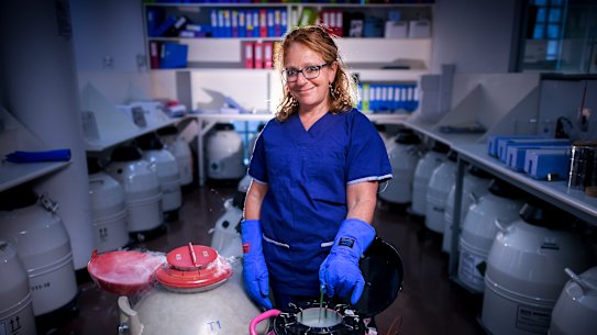 Associate Professor Kate Stern is working on a way to create large numbers of eggs in the lab from tiny pieces of thawed ovarian tissue.