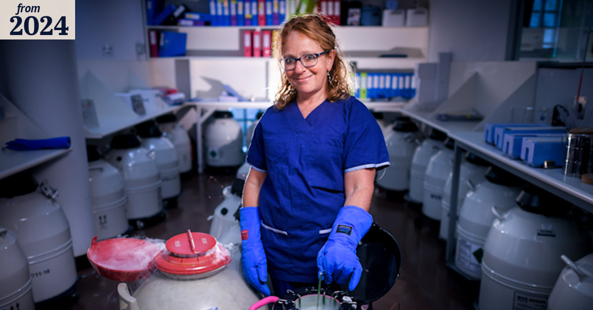 IVF, fertility, pregnancy: Australian scientists develop technique to ...