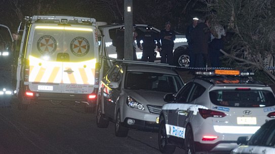 Two children dead after shooting in Sydney's north-west