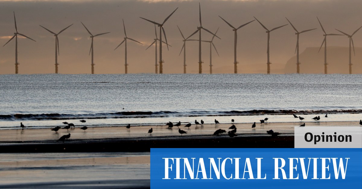 Carbon challenge-Wetland or ocean wind farm? The choice is easy this time - Vimarsana News