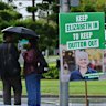 ‘Ripe for a teal candidate’: Inside Queensland’s bluest Greens seat
