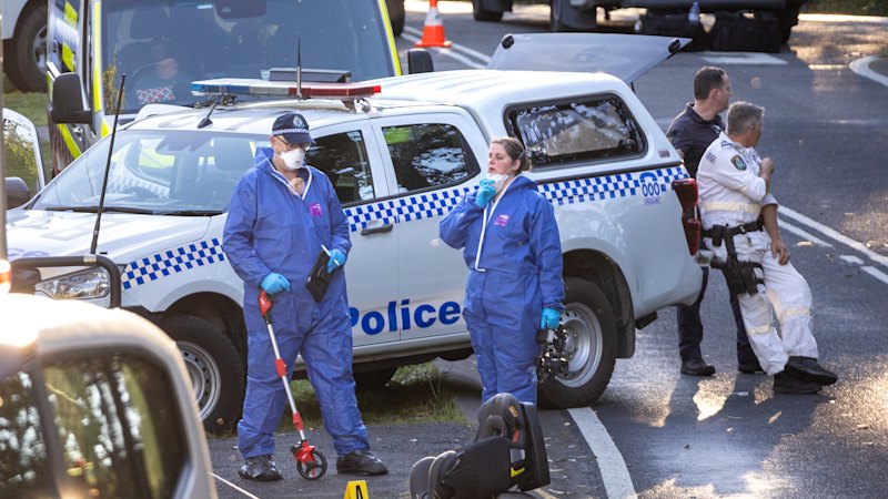 Second child allegedly stabbed by mother in Blue Mountains attack dies in hospital