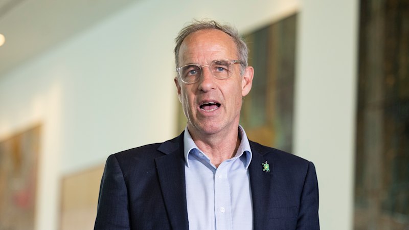 Senator rejects calls to apologise for saying Labor ‘captured by Zionist interests'