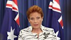 Pauline Hanson addressed the medai in Brisbane