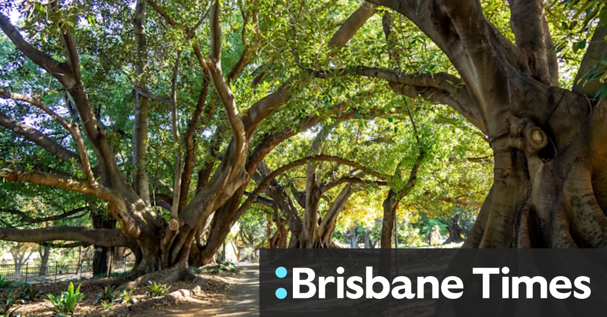 WA property: Cheaper homes or leafier suburbs? Lobby group rails against developers paying for parks - Vimarsana News