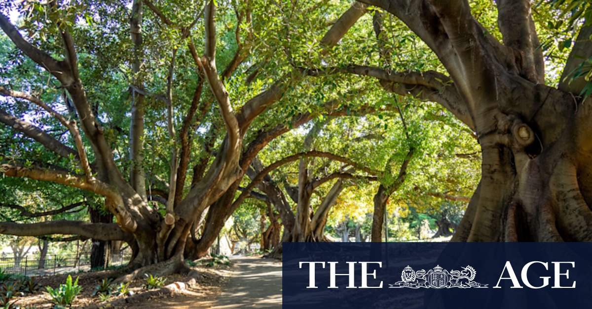 WA property: Cheaper homes or leafier suburbs? Lobby group rails against developers paying for parks - Vimarsana News