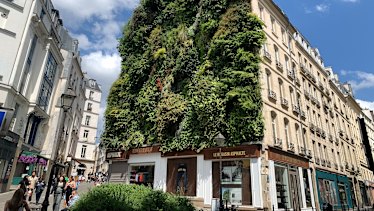 A green wall by Patrick Blanc  creating the mood of a park.