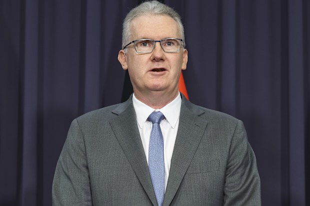 Minister for Home Affairs Tony Burke.