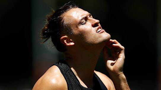 Collingwood’s Darcy Moore