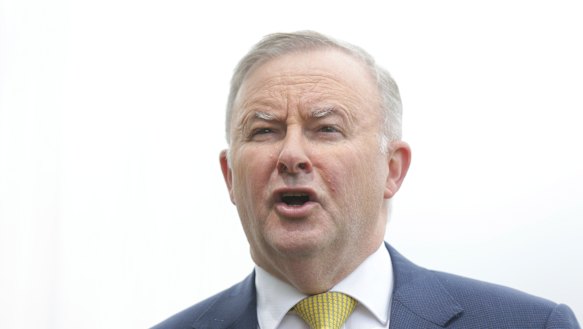 Opposition Leader Anthony Albanese says Labor's climate policies are clear.