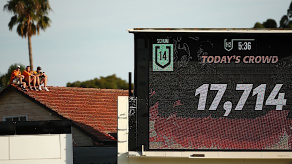 Three Tigers fans watch the match from a roof overlooking Leichhardt Oval.