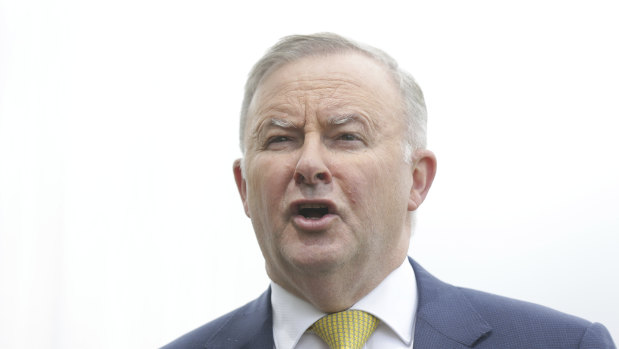 Opposition Leader Anthony Albanese says Labor's climate policies are clear.