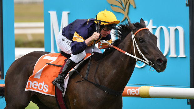Mount Popa, with Willie Pike aboard, wins the Mornington Cup on Saturday.