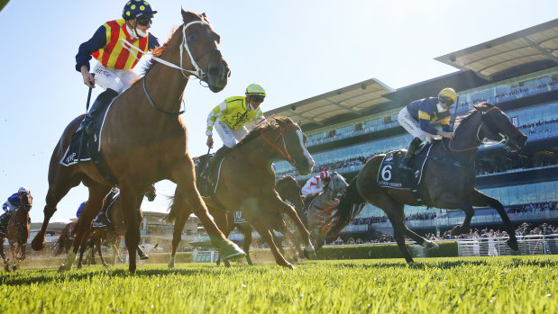 Nature Strip proved too strong for his opponents in last year’s Everest.