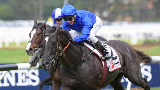 Avilius starts his spring campaign in the Winx Stakes