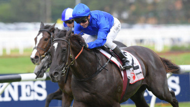 Blue steel: Avilius takes the Ranvet with Kerrin McEvoy in the saddle last week. McDonald takes the ride on Saturday.