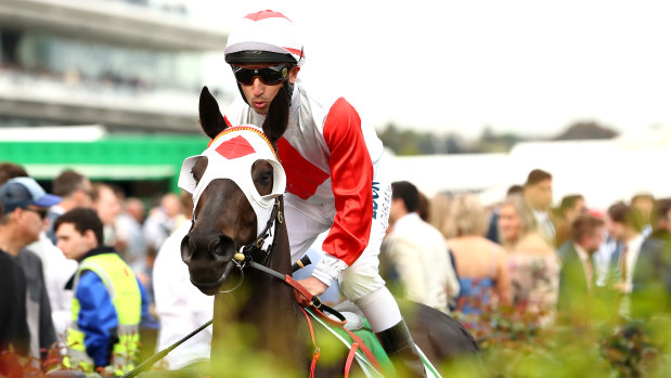 Trainer Adam Trinder has no qualms about his super mare Mystic Journey ahead of the Cox Plate.